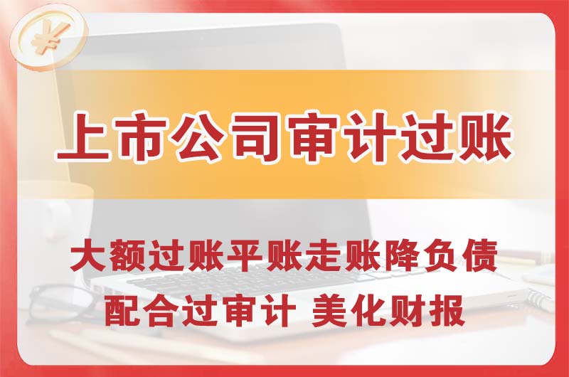 瑞安上市公司审计过账