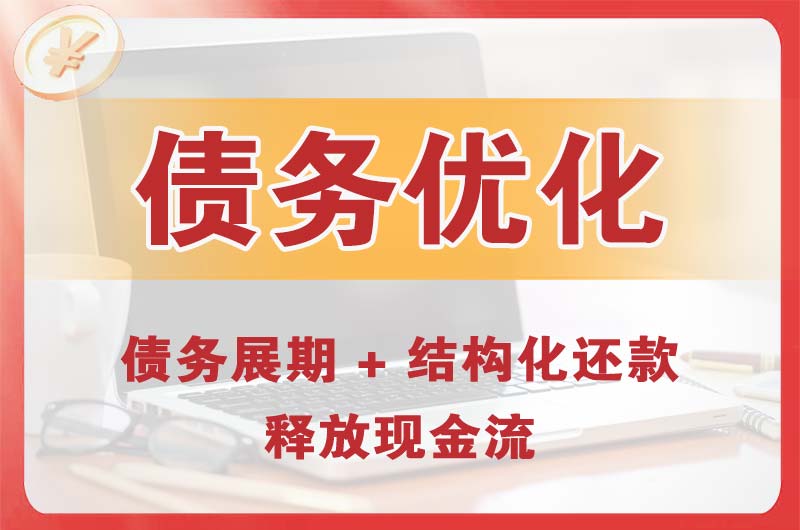 瑞安债务优化